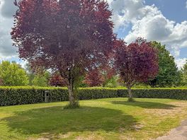 Level grass pitches