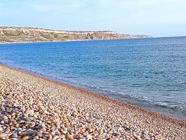Chesil beach nearby.