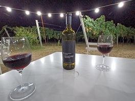 Vino