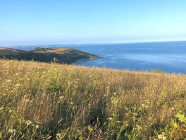 View from coastal walk 5 min from site