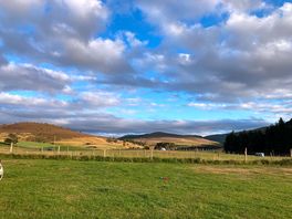 View from my tent
