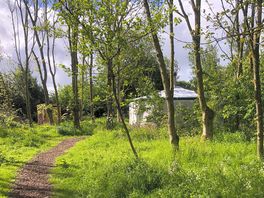 Willow Yurt