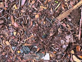Glass and rubbish all over pitch