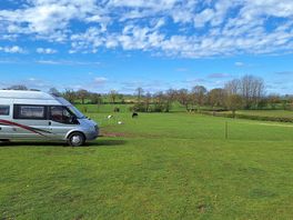 Grass pitch
