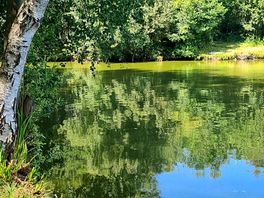 Field lake