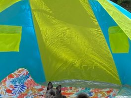 Bella enjoyed her camping trip