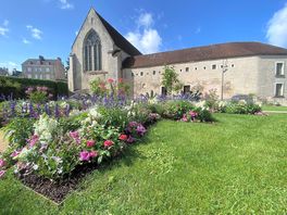 Beautiful wall gardens