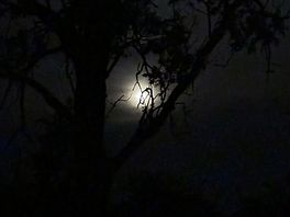 Watching the moon . even saw a few shooting stars as it is so dark.