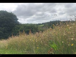 The field leading to the woodland walks.