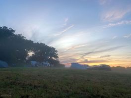 Mist in the fields