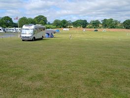 The site
