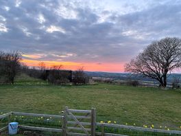 Beautiful view