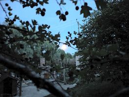 Moon.