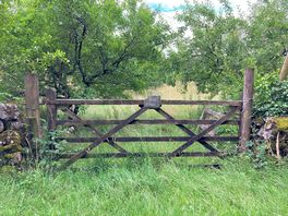 One of witherslack orchards