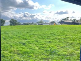Our view from the side of the van