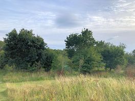 Our tent tucked away in the trees