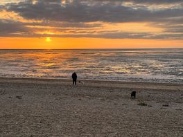 Snettisham beach