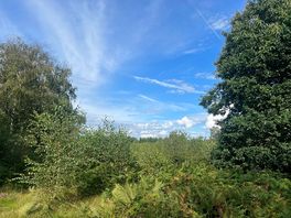 Blue sky