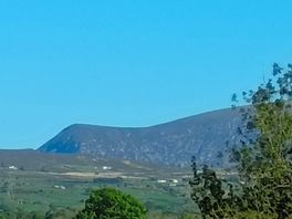 View from the site