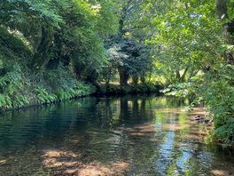 The river