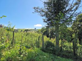 Views from daffyd