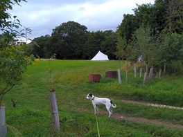 We had a bell tent in the second field