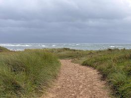 Llandwyn beach and woods