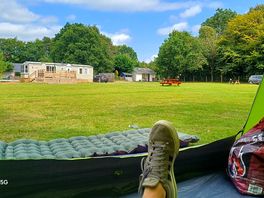 My view in the morning