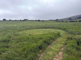 Tent site mown into grass field