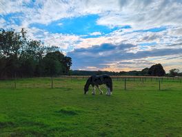 Lovely views