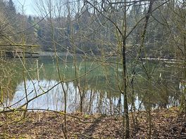 Fishing lake within the campsite