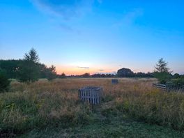 Meadow
