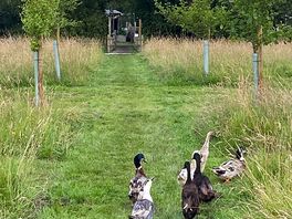 Friendly neighbours !!