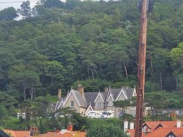 A view of the site from the road