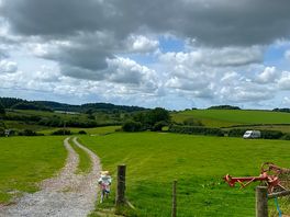 Track down to the field