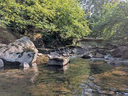 A small section of the river that runs next to the campsite.