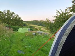 View from the top pitch.