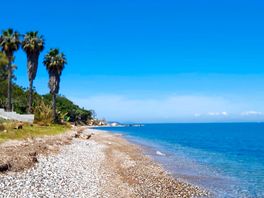 The beach