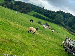 Our neighbours