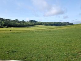 View from the tent