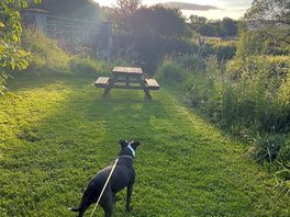 Just a small section of the grounds , picnic area near the river