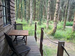 The cabin.