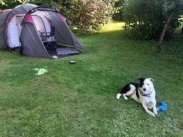 Jimmy enjoying his wee break
