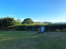 What a view