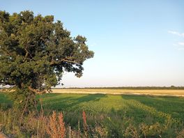 Scenery