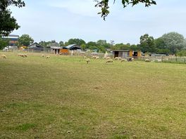 The farm.