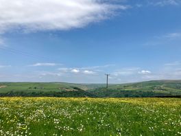 View from site