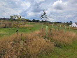 Site view