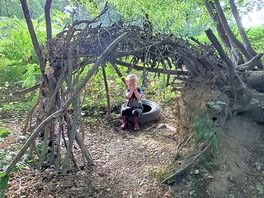 One of many dens