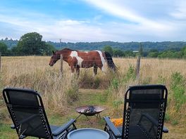 Horsing around